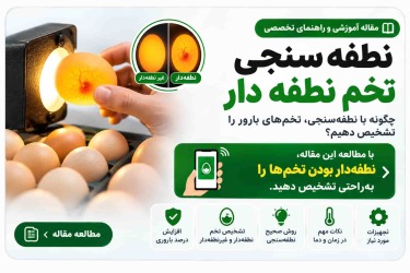 روش نطفه سنجی تخم نطفه دار