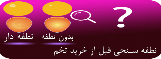 روش نطفه سنجی تخم نطفه دار روش نطفه سنجی تخم نطفه دار قبل از خرید تخم با نطفه سنج و نوربینی. خرید دستگاه نطفه سنج واقعی و ارزان در مشهد و ارومیه. نوربینی یا کندلینگ چیست؟