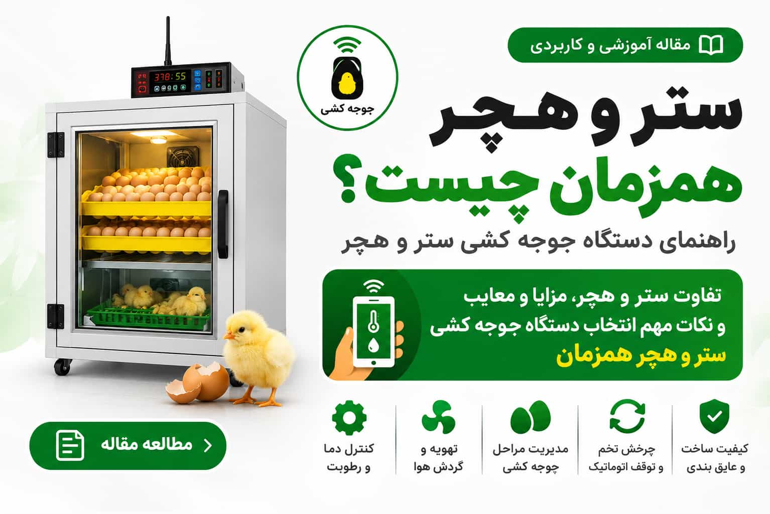 ستر و هچر همزمان مشهد برق چیست