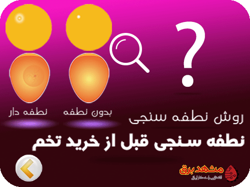 روش نطفه سنجی در دستگاه جوجه کشی