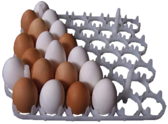 شانه ستر و سبد هچر دستگاه جوجه کشی